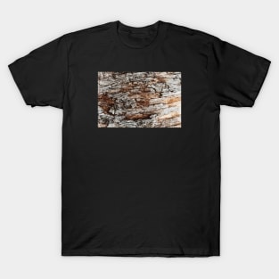 Rustic Orange & Brown Tree Trunk - Alternative T-Shirt